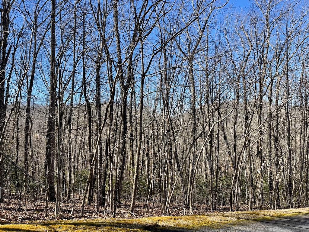 Lot 34 Ash Branch Road Hayesville, NC 28904 - Photo 1 of 6 Main View