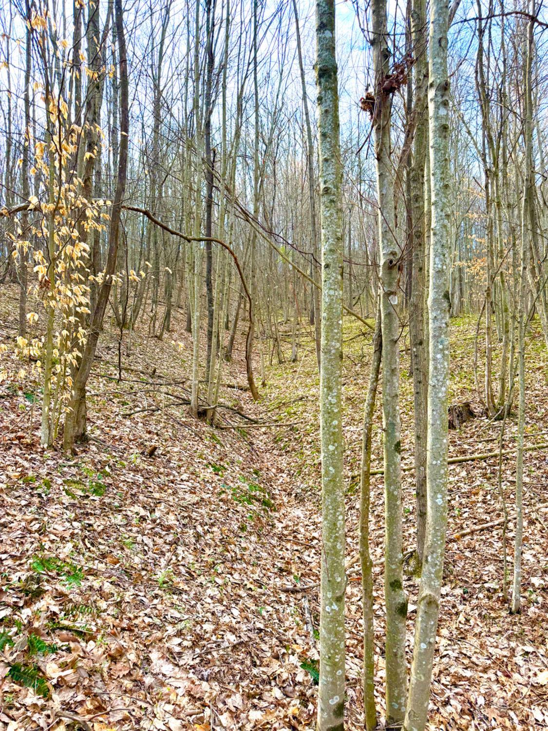 0 Fyffe Hollow Road Chillicothe, OH 45601 - Photo 92 of 96