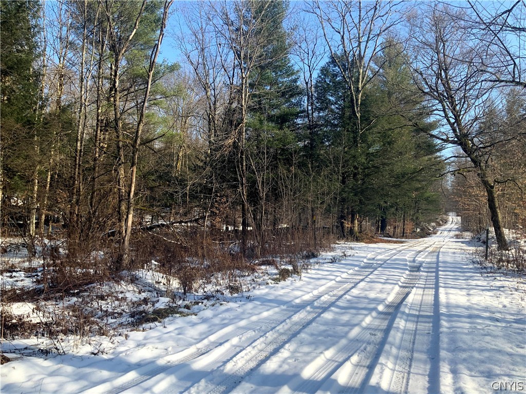 0 Salsbury Road Camden, NY 13316 - Photo 23 of 42 Gallery Image 23