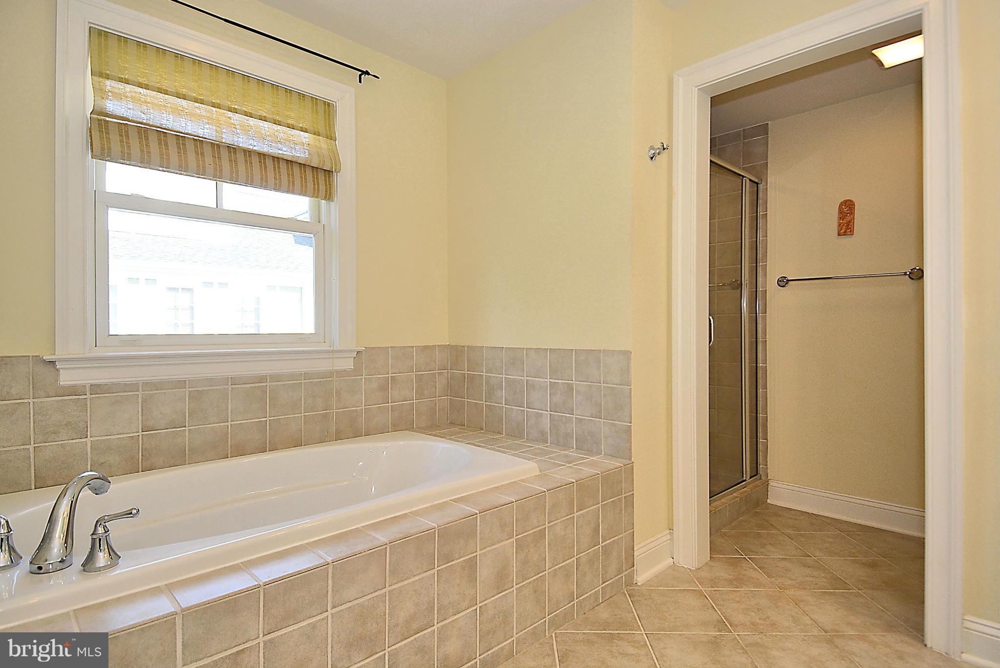 8910 Courts Way Silver Spring, MD 20910 - Photo 17 of 29 Bath (Master)