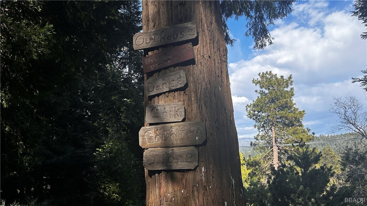 26316 Highway 189 Twin Peaks, CA 92391 - Photo 34 of 50