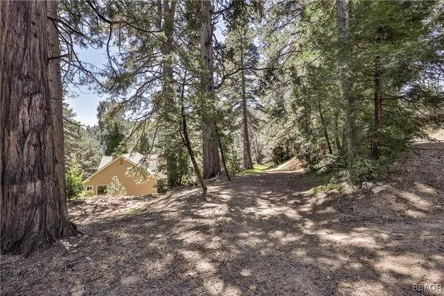 $840,000 | 26316 Highway 189, Twin Peaks, CA 92391
