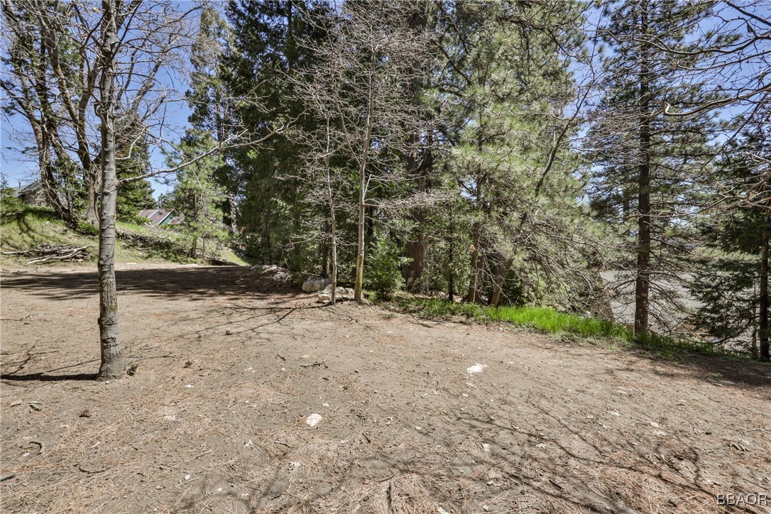 26316 Highway 189 Twin Peaks, CA 92391 - Photo 43 of 50