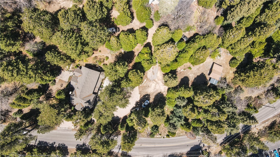 26316 Highway 189 Twin Peaks, CA 92391 - Photo 45 of 50