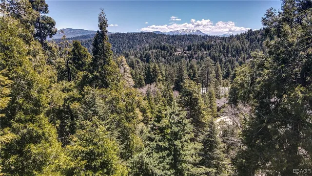 $840,000 | 26316 Highway 189, Twin Peaks, CA 92391