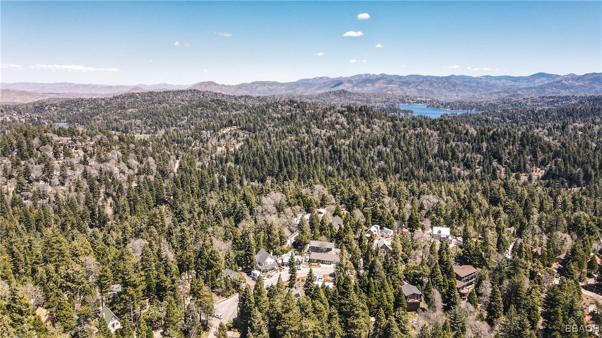 26316 Highway 189 Twin Peaks, CA 92391 - Photo 47 of 50