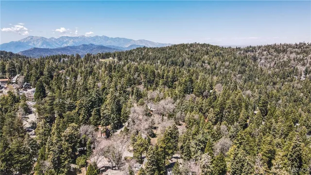 $840,000 | 26316 Highway 189, Twin Peaks, CA 92391