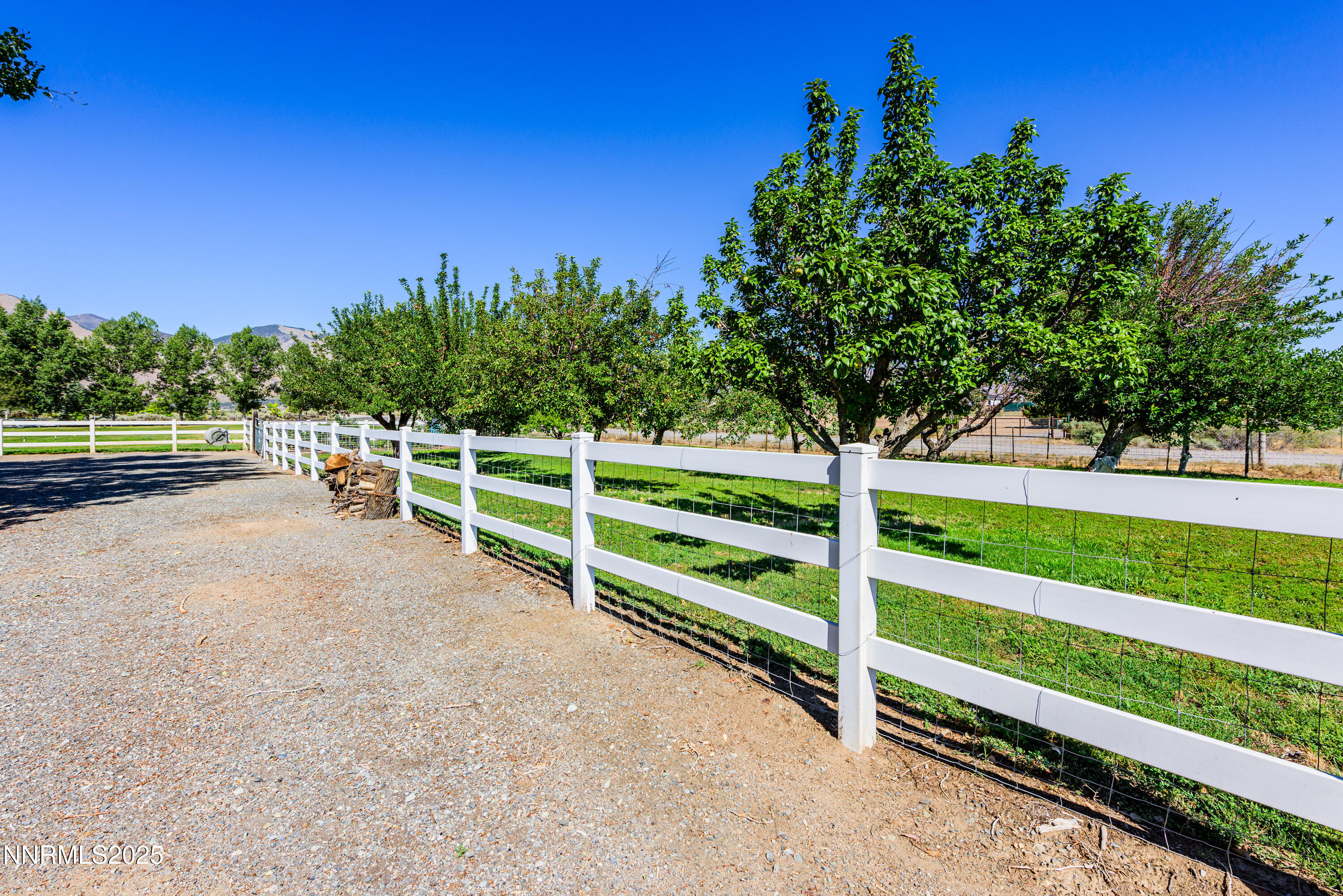 50 Miller Ridge Road Smith Valley, NV 89444 - Photo 16 of 51 50 Miller Ridge Rd new-3