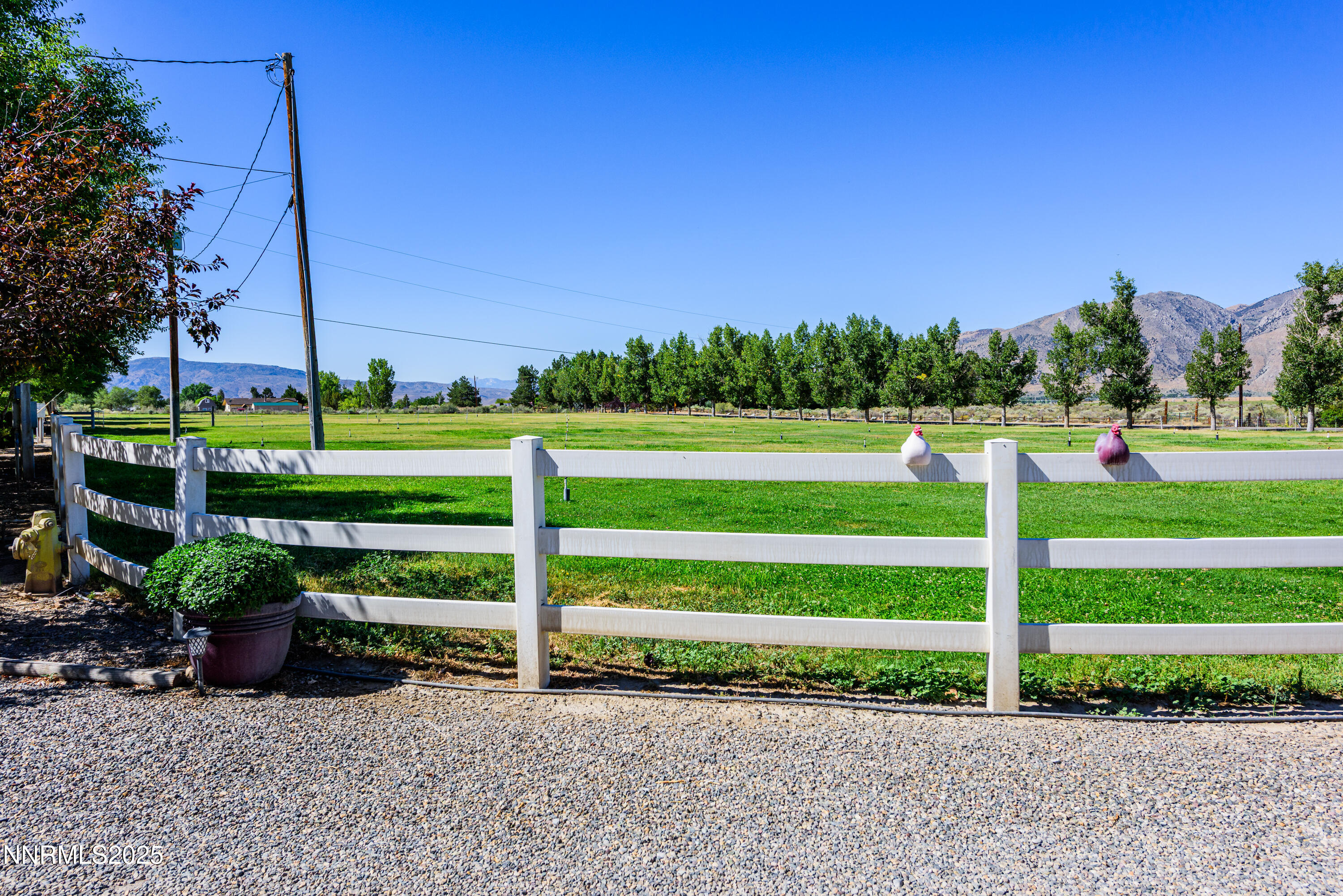 50 Miller Ridge Road Smith Valley, NV 89444 - Photo 17 of 51 a view of a garden with an outdoor space