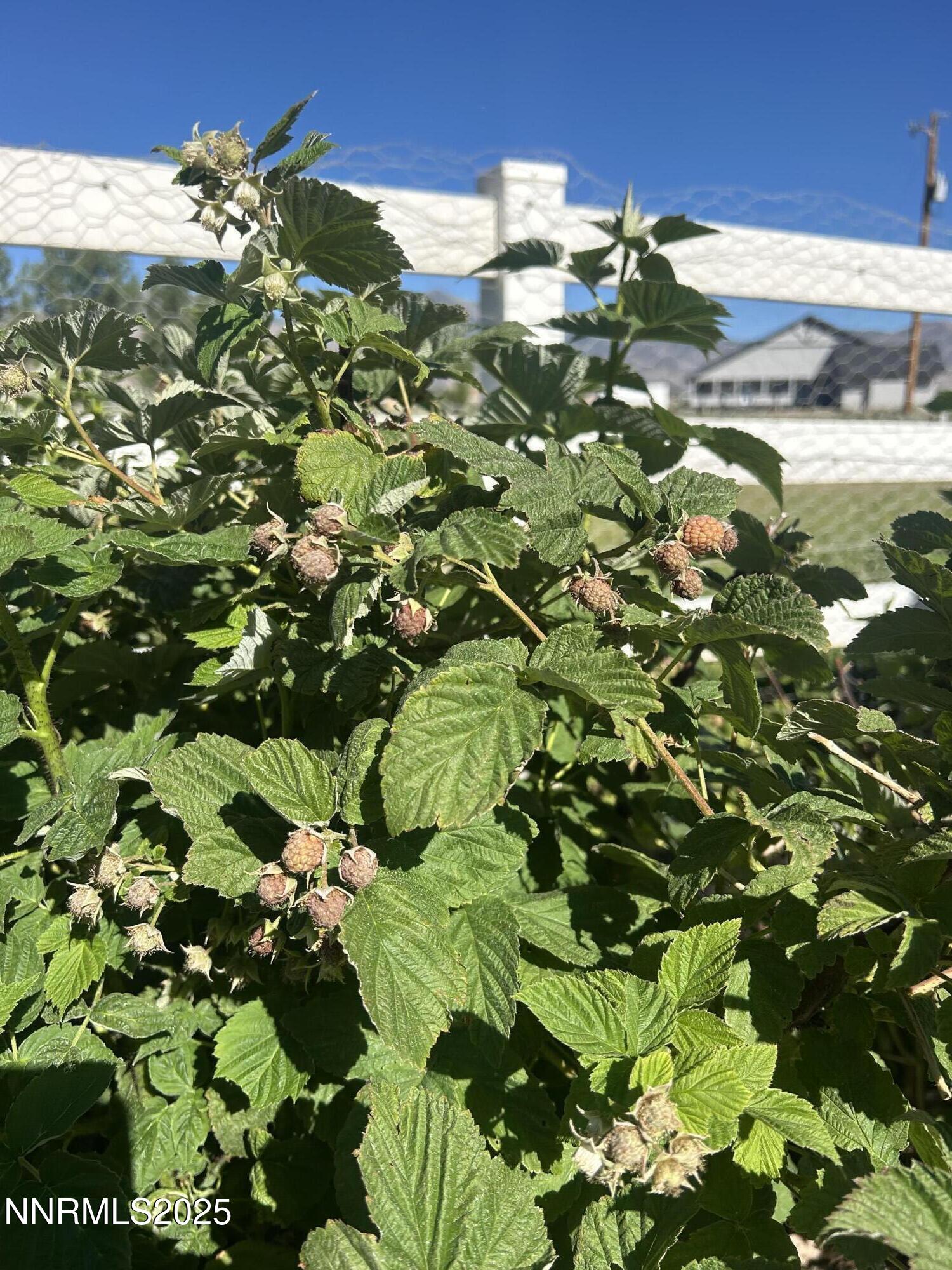 50 Miller Ridge Road Smith Valley, NV 89444 - Photo 20 of 51 miller ridge