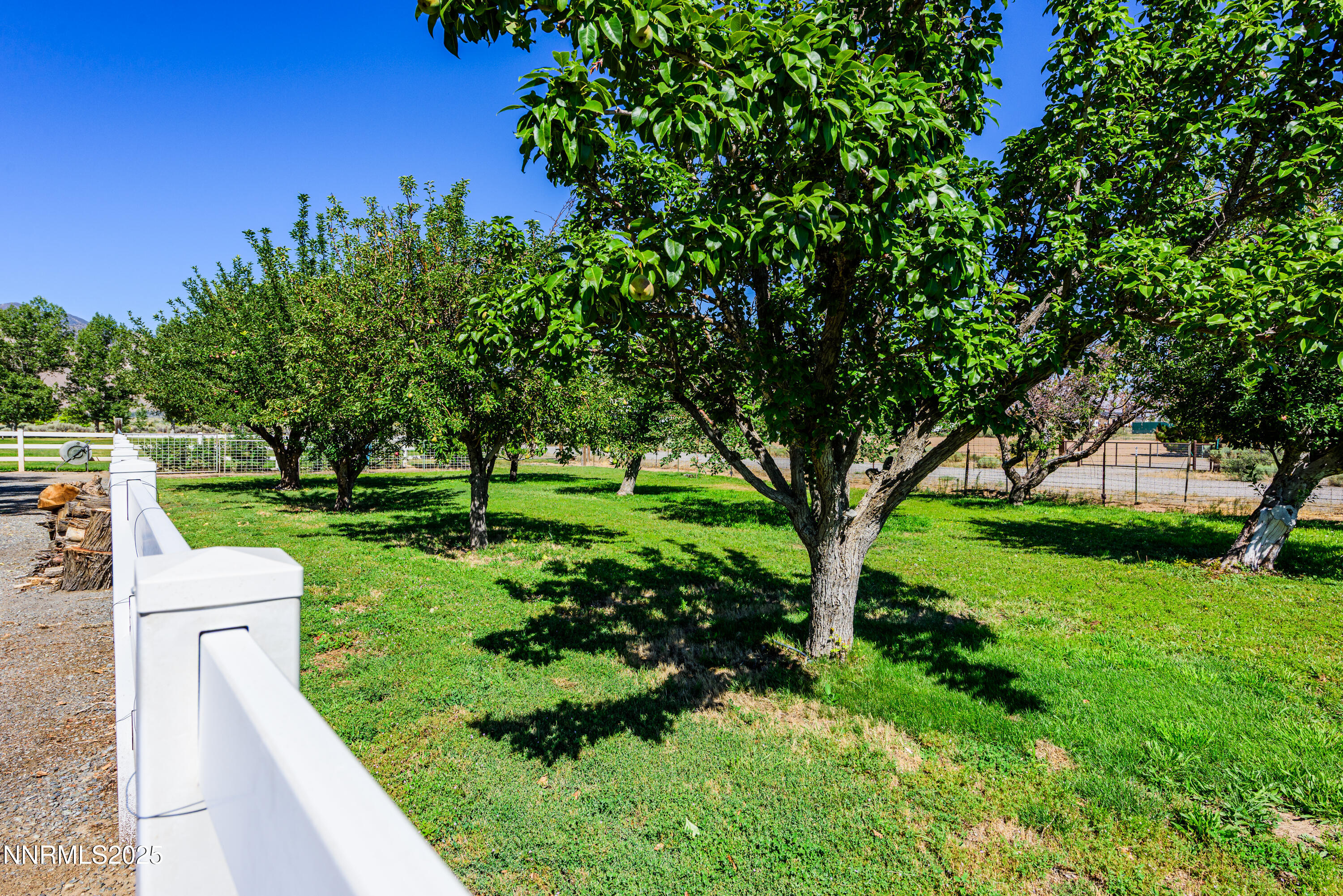 50 Miller Ridge Road Smith Valley, NV 89444 - Photo 9 of 51 a view of a garden with trees