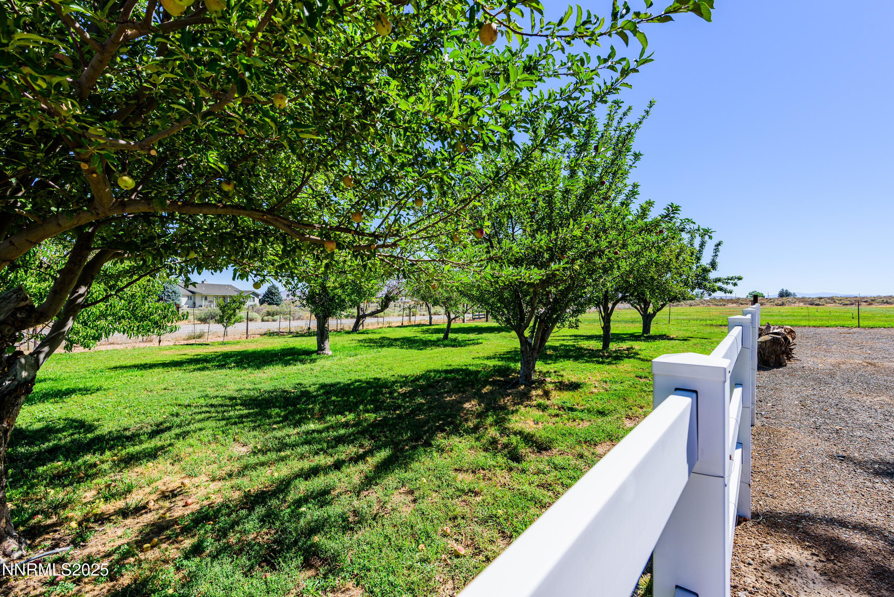 50 Miller Ridge Road Smith Valley, NV 89444 - Photo 10 of 51 a view of a garden with trees