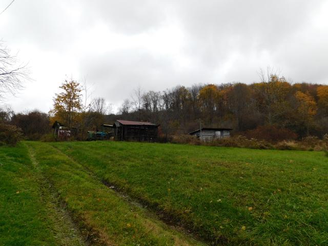 2484 Valentine Run Road Russell, PA 16345 - Photo 2 of 11 Gallery Image 2