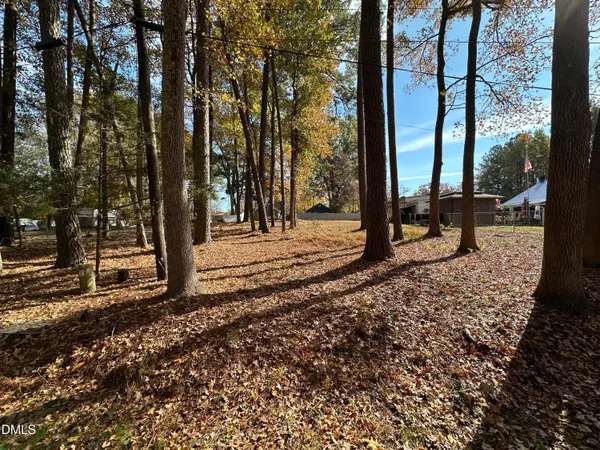 a view of a park with large trees