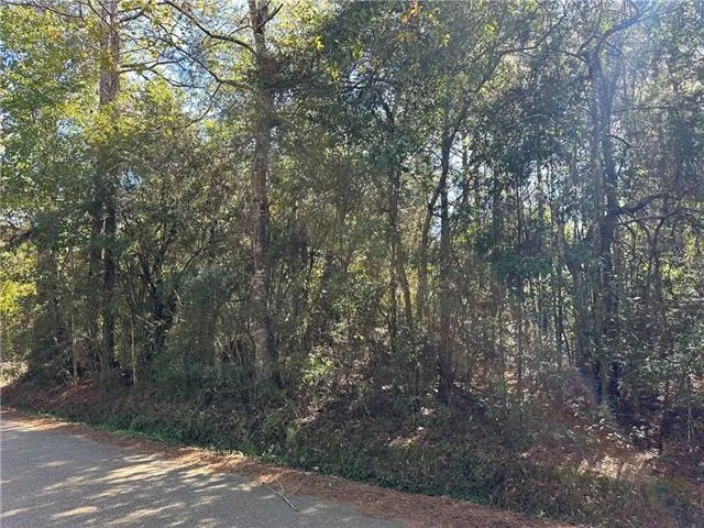 $70,000 | 0 Tantela Ranch Road, Folsom, LA 70437