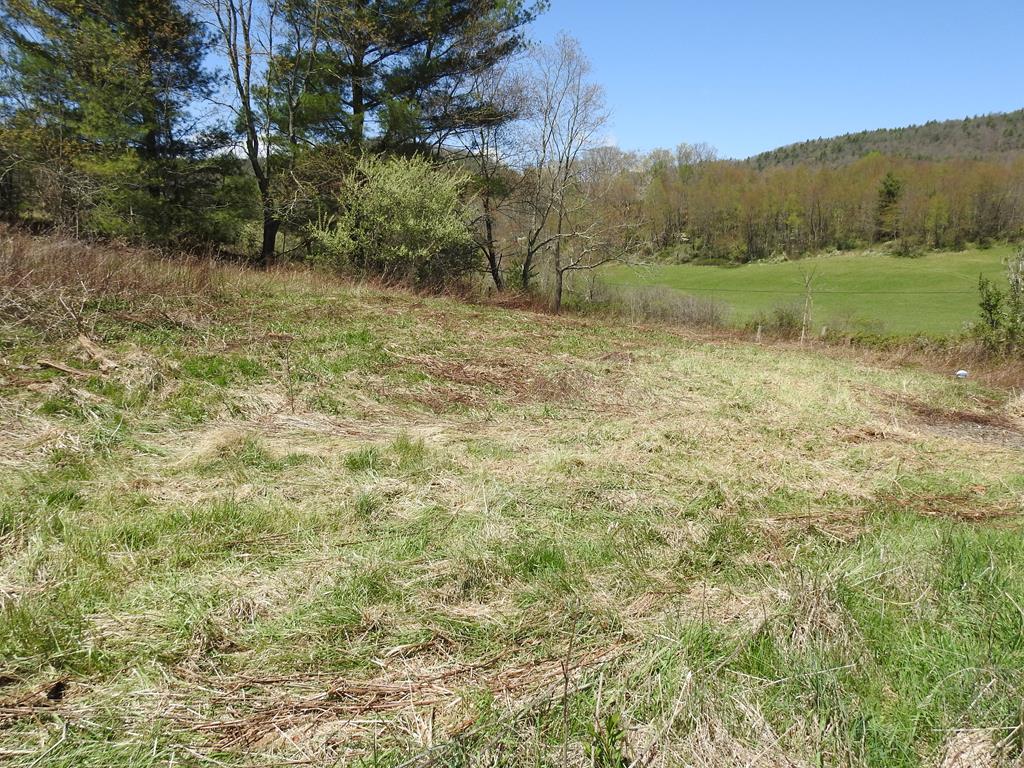 4168 Spring Valley Road Elk Creek, VA 24326 - Photo 17 of 28 Gallery Image 17
