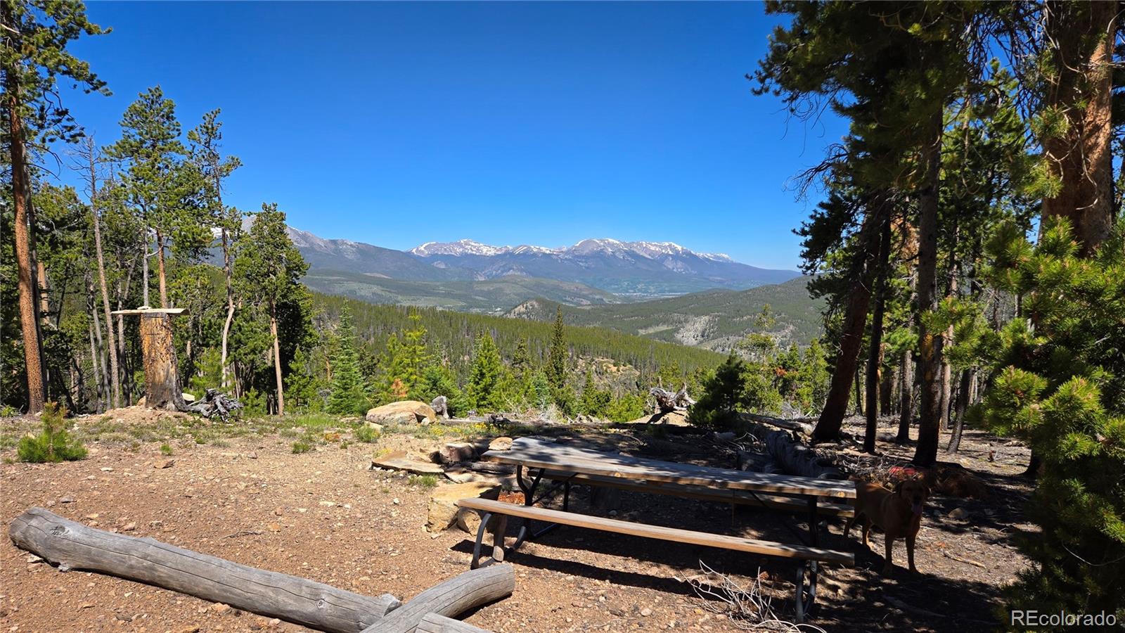 0 Summit Gulch Road Breckenridge, CO 80424 - Photo 20 of 31