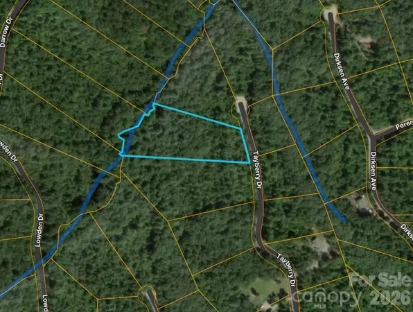 $29,901 | 0 Tayberry Drive, Nebo, NC 28761