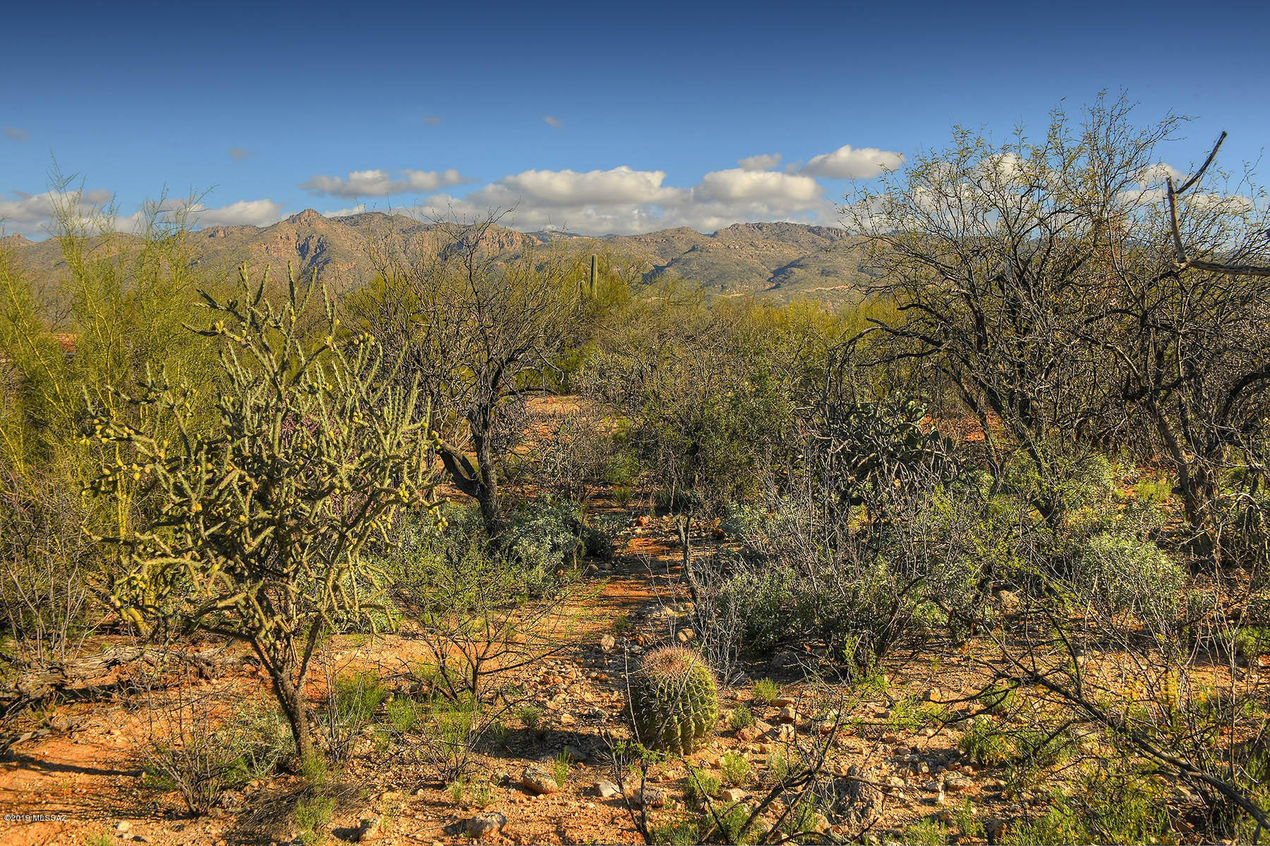 12350 East Prince Road Tucson, AZ 85749 - Photo 35 of 44 Gallery Image 35