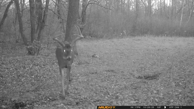 $425,000 | 39309 350th Street Southeast, Fosston, MN 56542