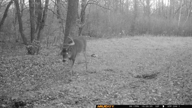 $425,000 | 39309 350th Street Southeast, Fosston, MN 56542