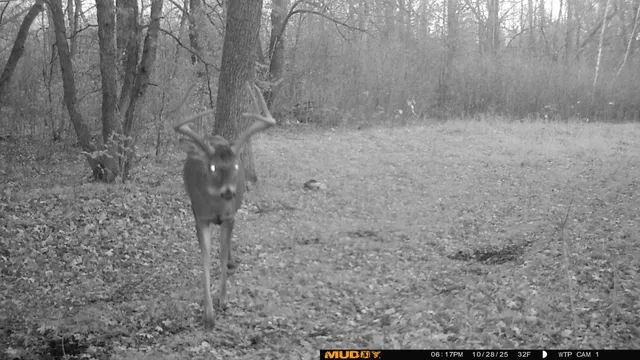 $425,000 | 39309 350th Street Southeast, Fosston, MN 56542