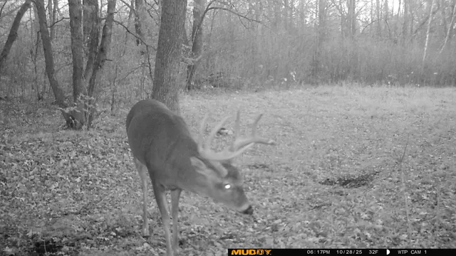 $425,000 | 39309 350th Street Southeast, Fosston, MN 56542