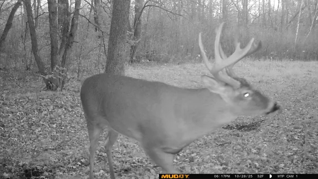 $425,000 | 39309 350th Street Southeast, Fosston, MN 56542