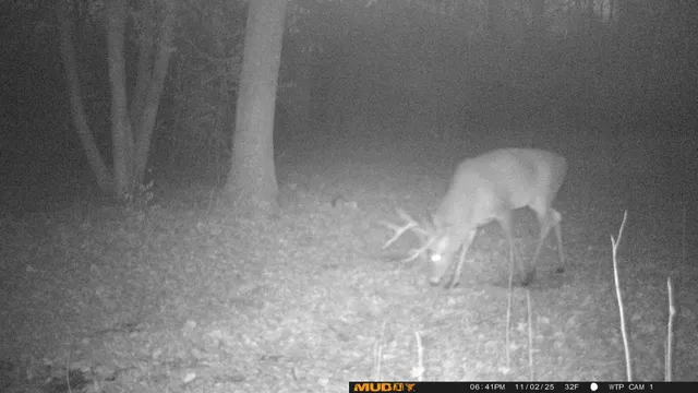 $425,000 | 39309 350th Street Southeast, Fosston, MN 56542