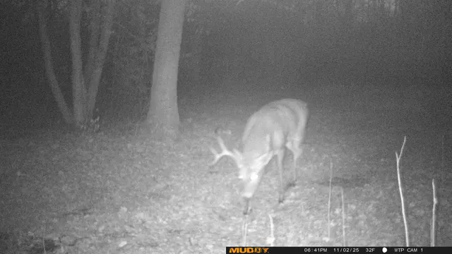 $425,000 | 39309 350th Street Southeast, Fosston, MN 56542