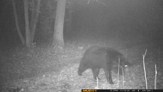 $425,000 | 39309 350th Street Southeast, Fosston, MN 56542