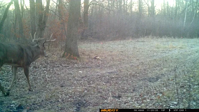 $425,000 | 39309 350th Street Southeast, Fosston, MN 56542