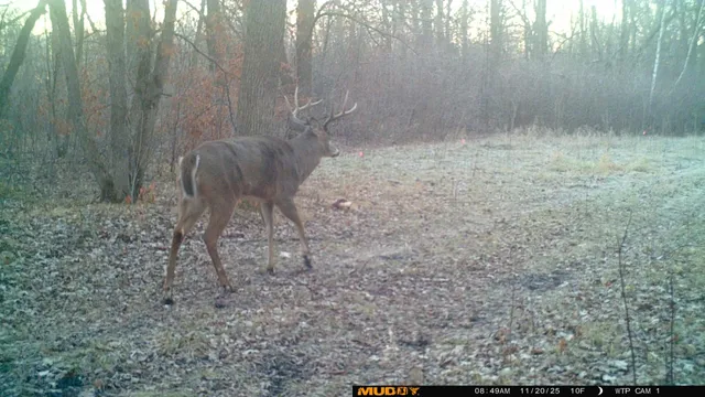 $425,000 | 39309 350th Street Southeast, Fosston, MN 56542