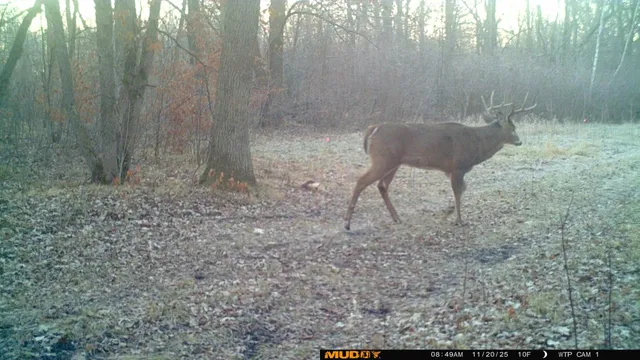 $425,000 | 39309 350th Street Southeast, Fosston, MN 56542