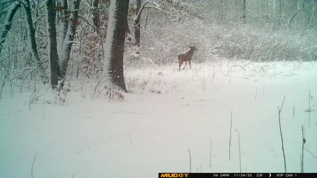 $425,000 | 39309 350th Street Southeast, Fosston, MN 56542