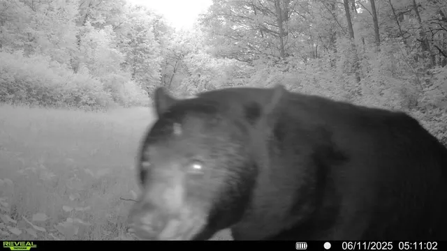 $425,000 | 39309 350th Street Southeast, Fosston, MN 56542