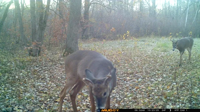 $425,000 | 39309 350th Street Southeast, Fosston, MN 56542