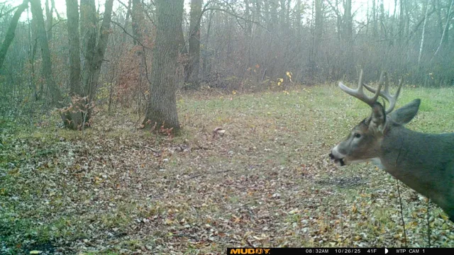 $425,000 | 39309 350th Street Southeast, Fosston, MN 56542