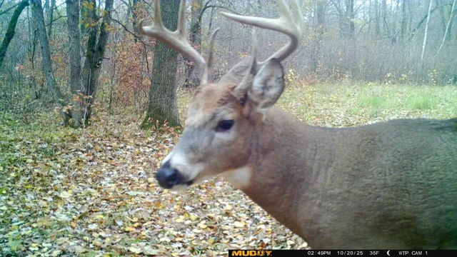 $425,000 | 39309 350th Street Southeast, Fosston, MN 56542