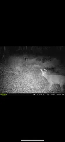 $425,000 | 39309 350th Street Southeast, Fosston, MN 56542