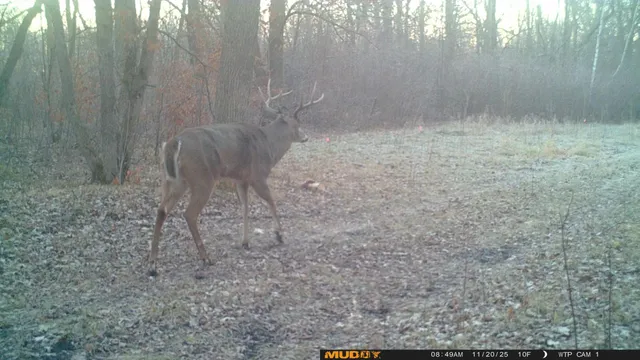 $425,000 | 39309 350th Street Southeast, Fosston, MN 56542