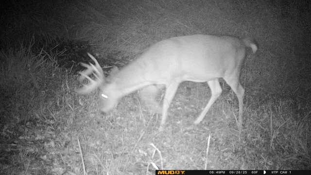 $425,000 | 39309 350th Street Southeast, Fosston, MN 56542