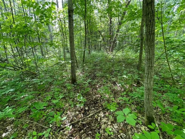 $425,000 | 39309 350th Street Southeast, Fosston, MN 56542