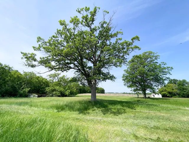 $425,000 | 39309 350th Street Southeast, Fosston, MN 56542