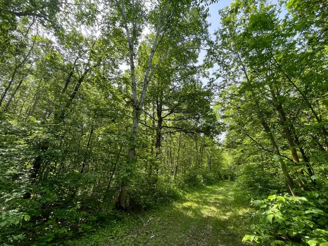 $425,000 | 39309 350th Street Southeast, Fosston, MN 56542