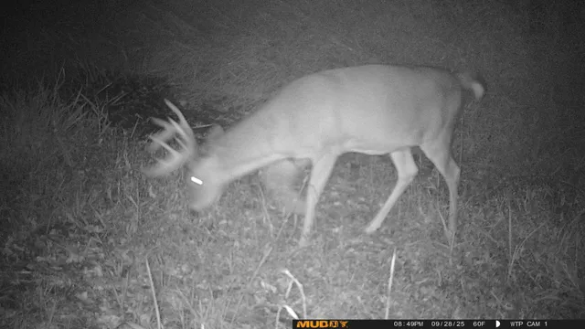 $425,000 | 39309 350th Street Southeast, Fosston, MN 56542