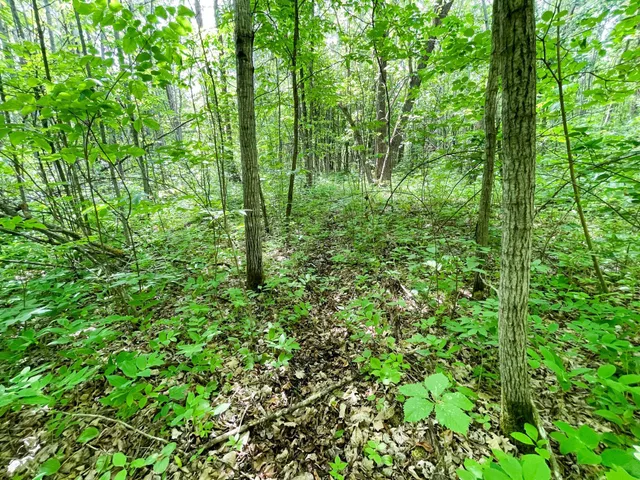 $425,000 | 39309 350th Street Southeast, Fosston, MN 56542