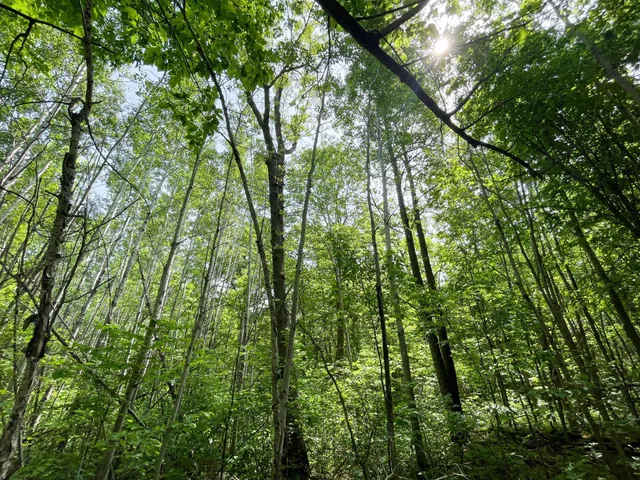 $425,000 | 39309 350th Street Southeast, Fosston, MN 56542