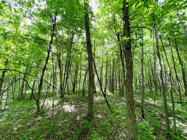 $425,000 | 39309 350th Street Southeast, Fosston, MN 56542