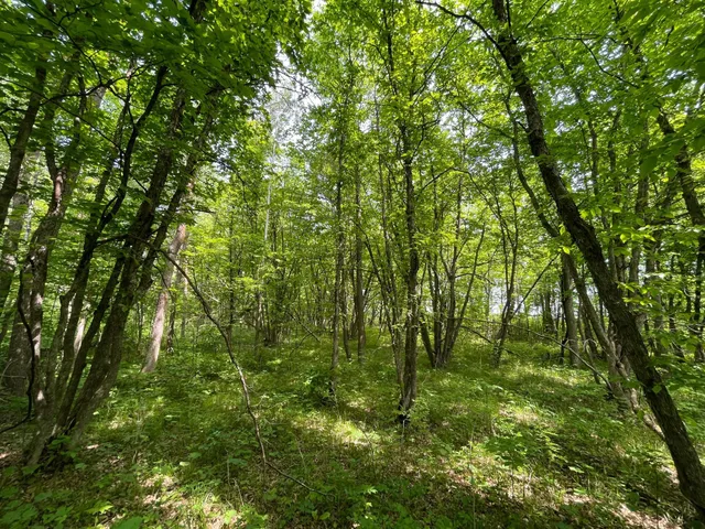 $425,000 | 39309 350th Street Southeast, Fosston, MN 56542